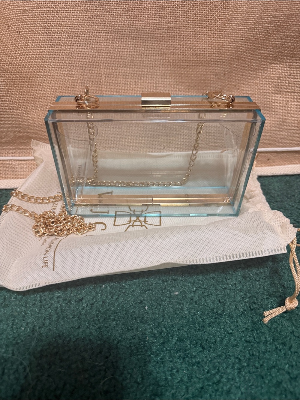 Transparent Acrylic Box Clutch with Gold-Tone Chain